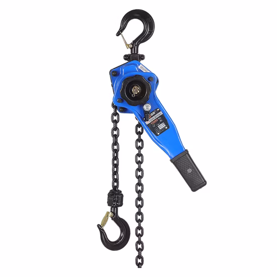 1 Ton Chain Block Lifting Equipment Hoists Construction Hoist Chain Pulley Block 