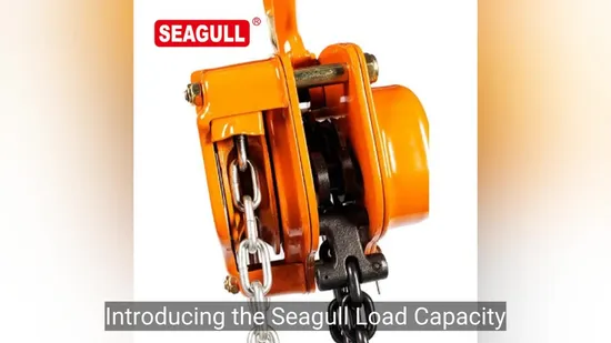 Seagull ヘビーデューティー 1トン 30トン 手動チェーンプーリーブロック 手動チェーンホイスト
